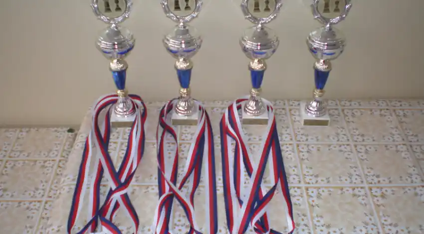 2. ročník VeltaTea cup 2008